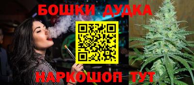 прущие грибы Будённовск