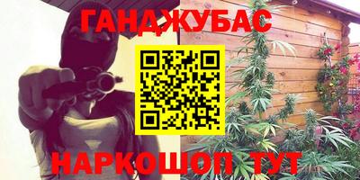 прущие грибы Будённовск