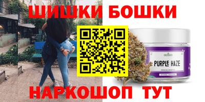 прущие грибы Будённовск