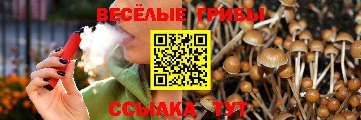 Псилоцибиновые грибы мицелий Людиново